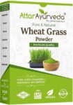 100-wheat-grass-powder-immunity-booster-de-toxifying-support-original-imah5kfzqaj7kkmj.jpeg