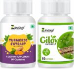 120-turmeric-extract-capsules-with-giloy-capsule-immunity-original-imagpayhvk47nyet.jpeg