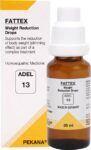 na-no-13-fattex-weight-management-adel-original-imag6kgyhhznbmby.jpeg