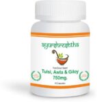 tulsi-awla-giloy-immunity-wellness-capsules-pack-of-1-special-original-imaga7xeefxxdea3.jpeg